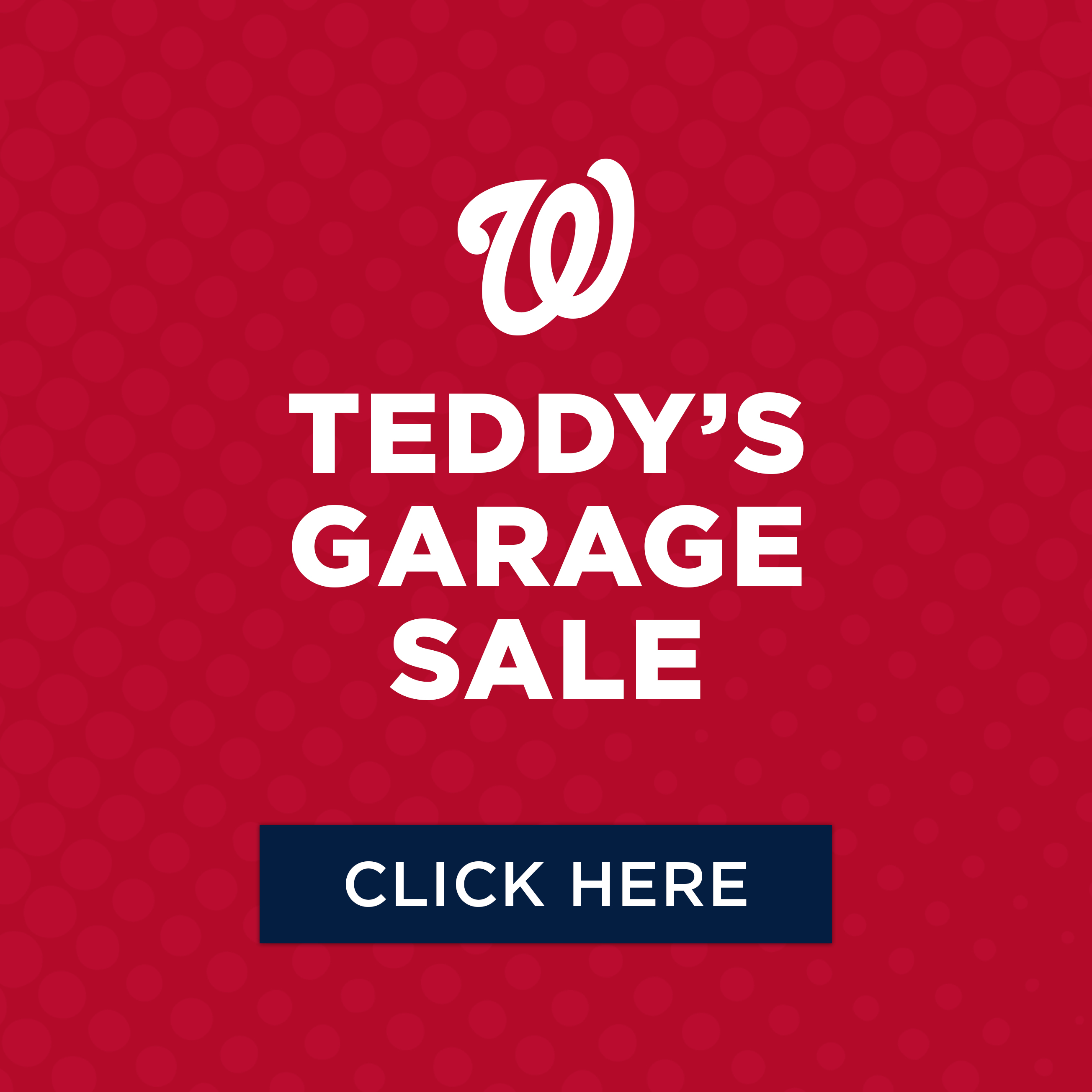 Teddy's Garage Sale